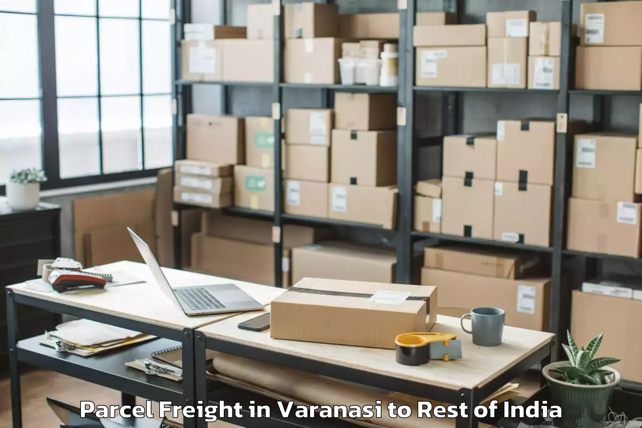 Professional Varanasi to Qila Jiwan Singh Parcel Freight